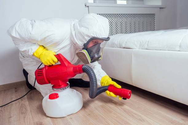 Best Rat Extermination Near Me  in Bacliff, TX